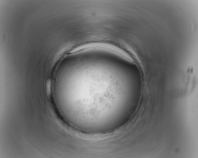 X0000092070019200709191213