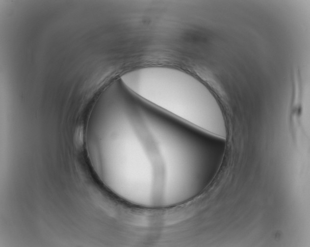 X0000092070021200709191213