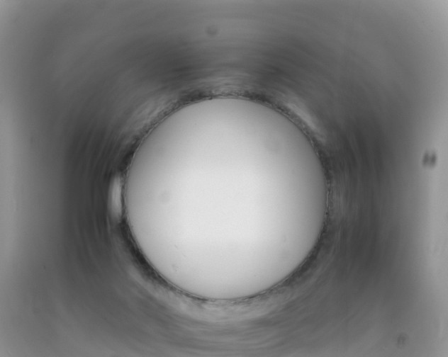 X0000092070022200709191213