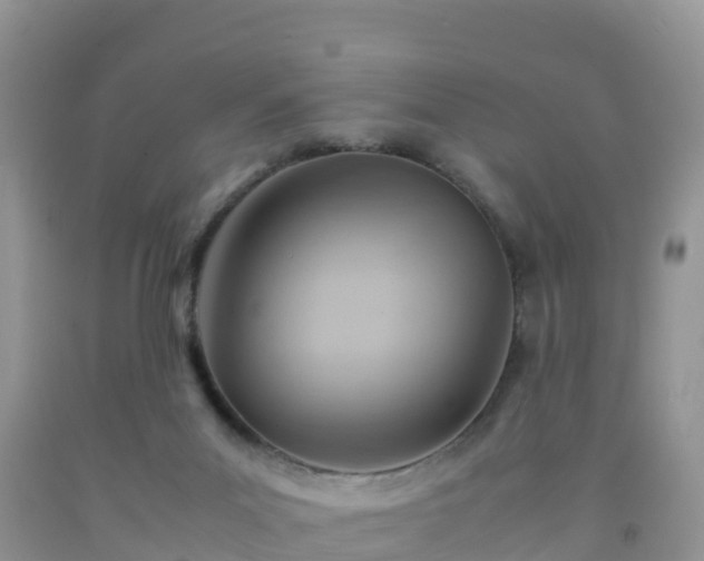 X0000092070023200709191213