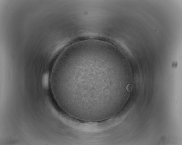 X0000092070024200709191213