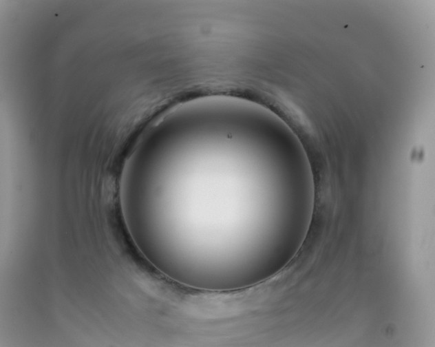 X0000092070025200709191213