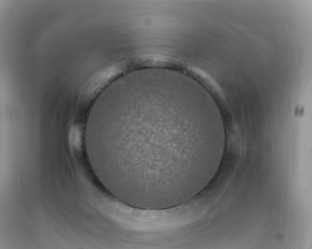 X0000092070026200709191213