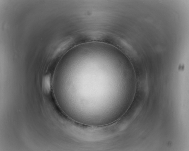 X0000092070028200709191213