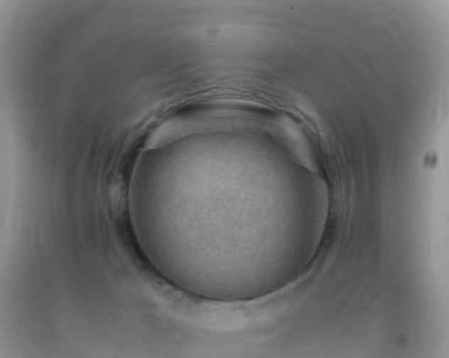 X0000092070029200709191213