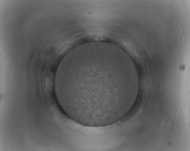 X0000092070030200709191213