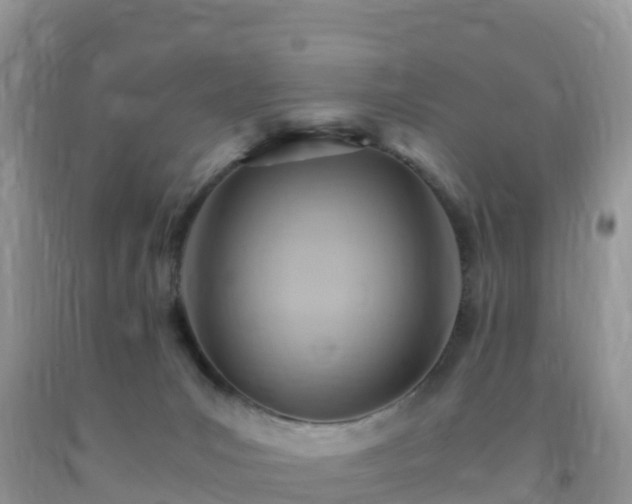 X0000092070031200709191213