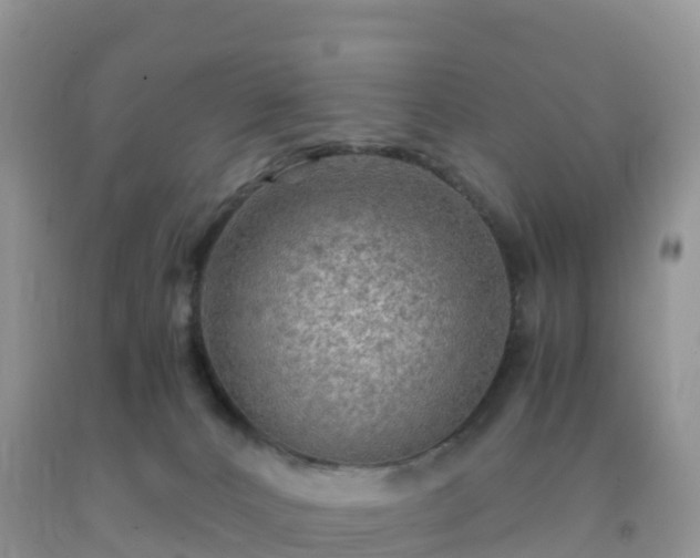 X0000092070032200709191213