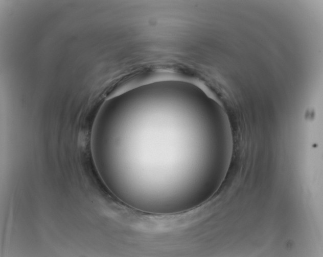 X0000092070033200709191213