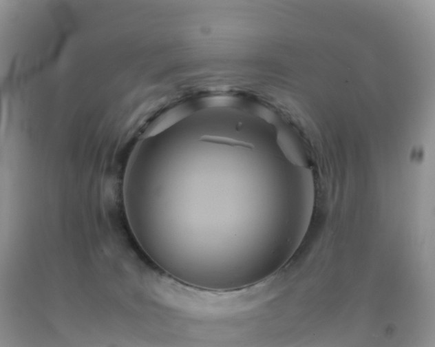X0000092070035200709191213