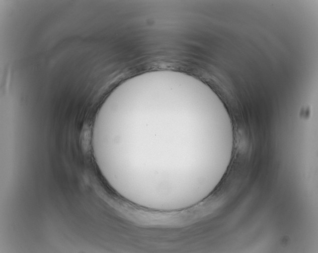 X0000092070036200709191213