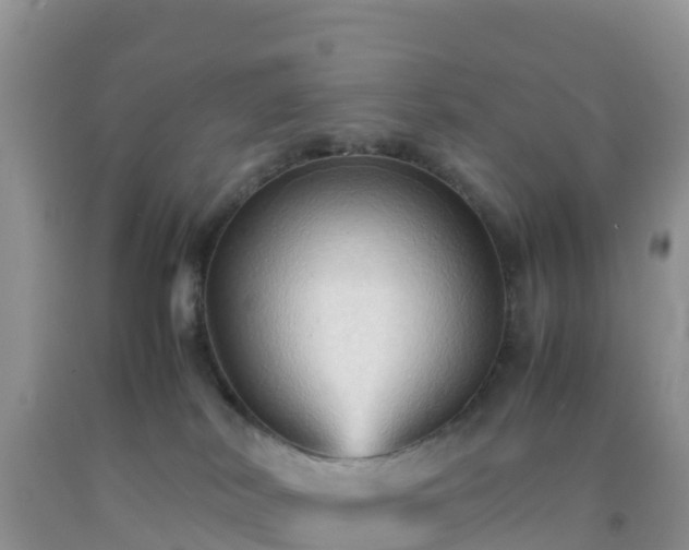X0000092070038200709191213