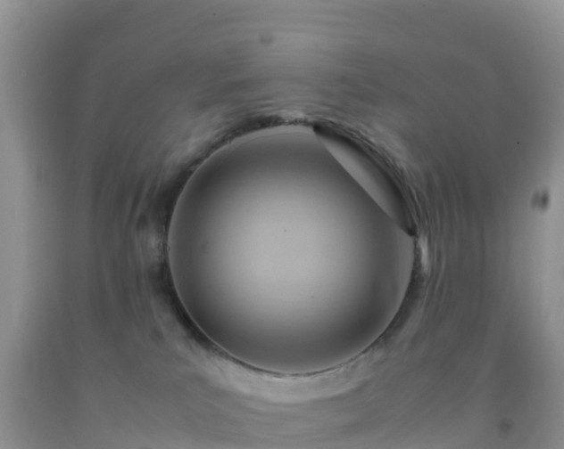 X0000092070039200709191213