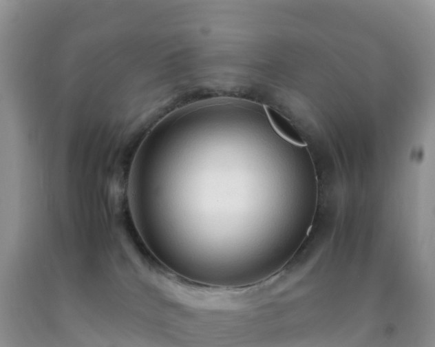 X0000092070040200709191213