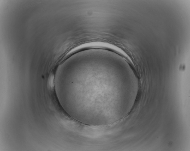 X0000092070041200709191213