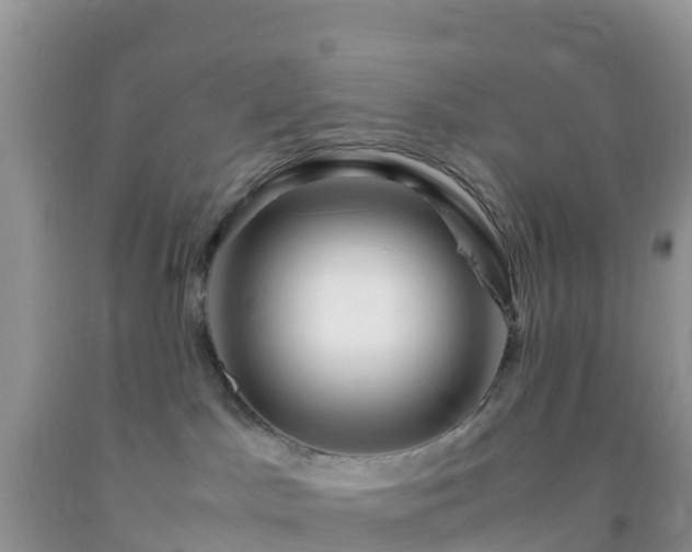 X0000092070045200709191213