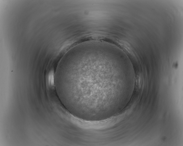 X0000092070046200709191213