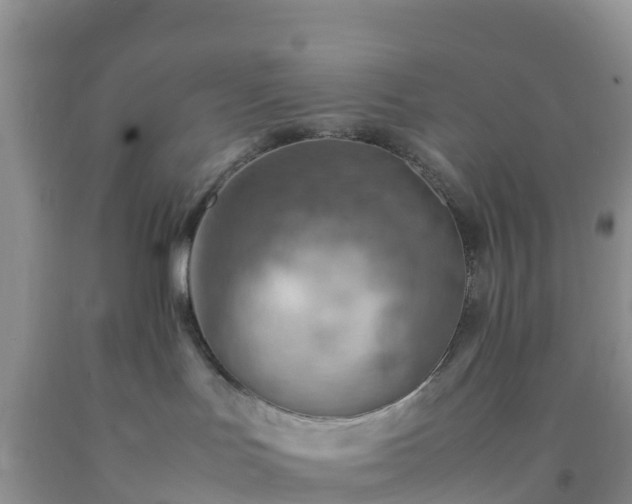 X0000092070047200709191213