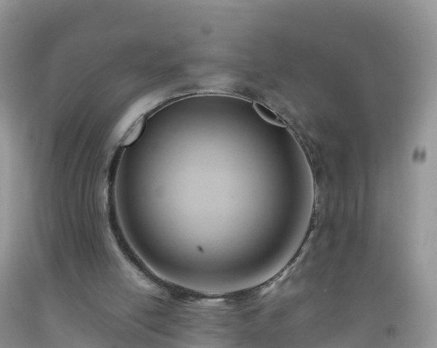 X0000092070054200709191212
