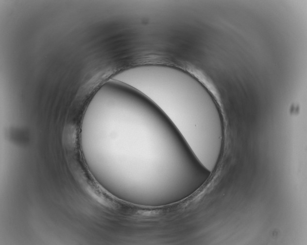 X0000092070057200709191212