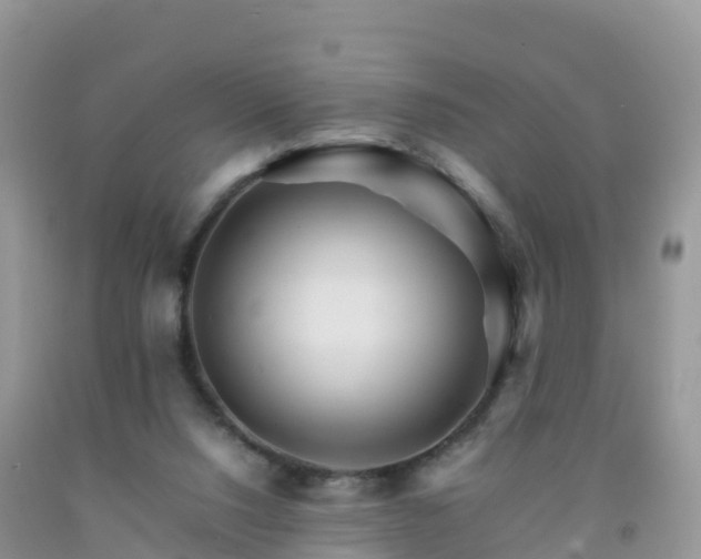 X0000092070064200709191212