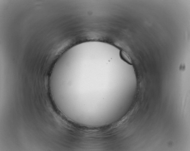 X0000092070066200709191213
