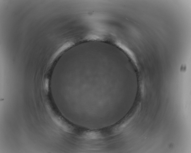 X0000092070067200709191213