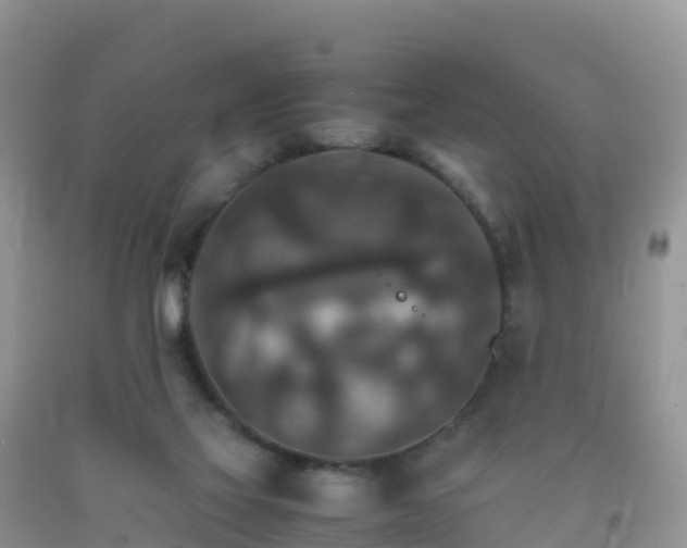 X0000092070069200709191213