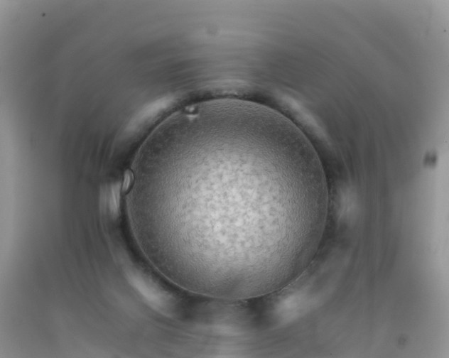 X0000092070070200709191213