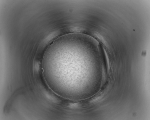 X0000092070071200709191213