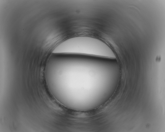 X0000092070073200709191213