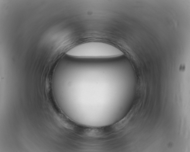 X0000092070074200709191213