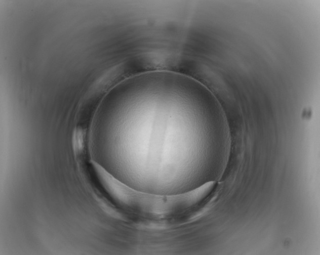 X0000092070075200709191213