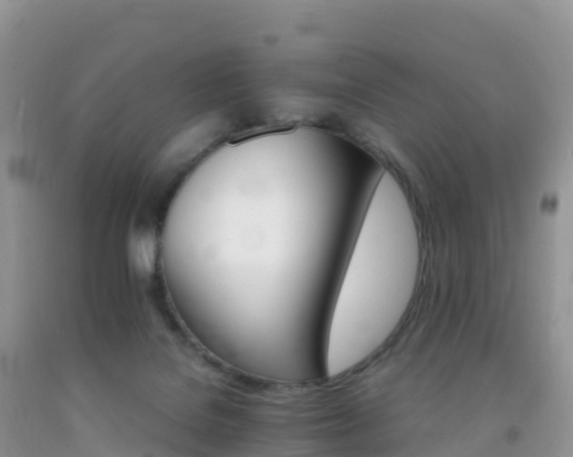 X0000092070076200709191213