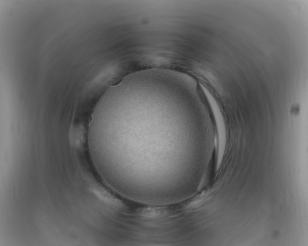 X0000092070077200709191213
