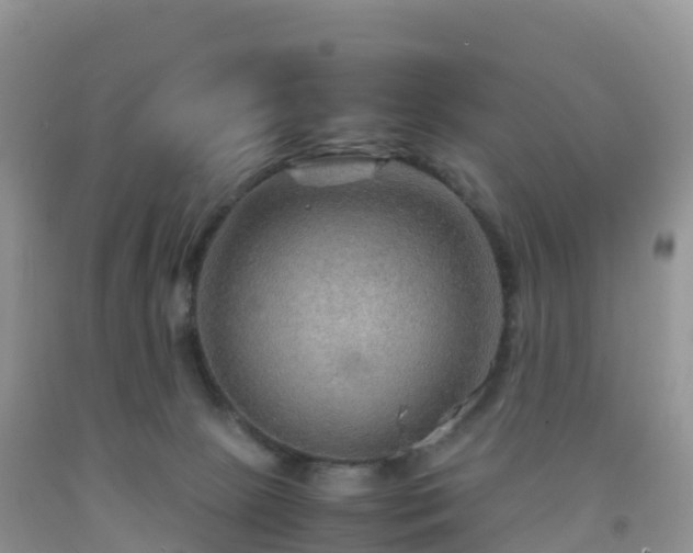 X0000092070081200709191213