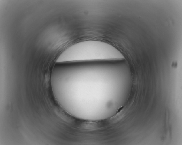 X0000092070082200709191213