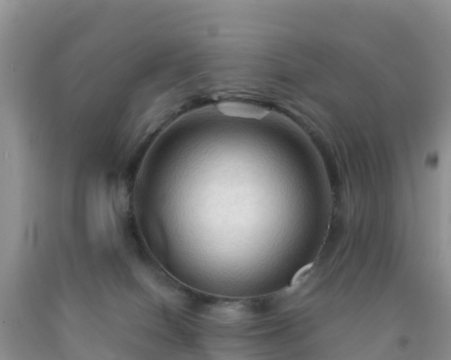 X0000092070086200709191213