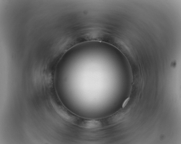 X0000092070087200709191213