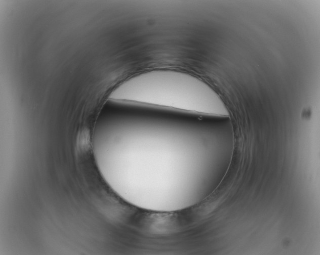 X0000092070089200709191213