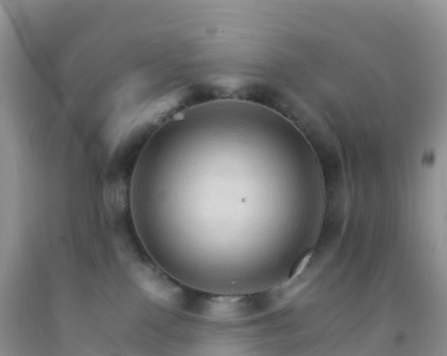 X0000092070090200709191213