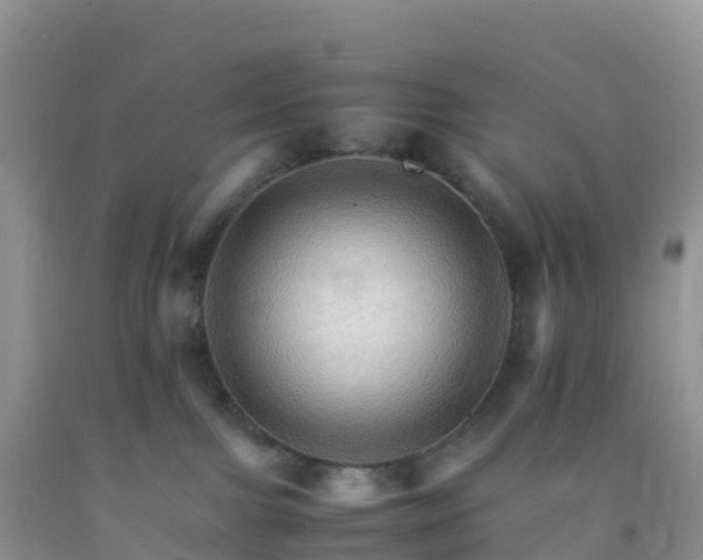X0000092070091200709191213