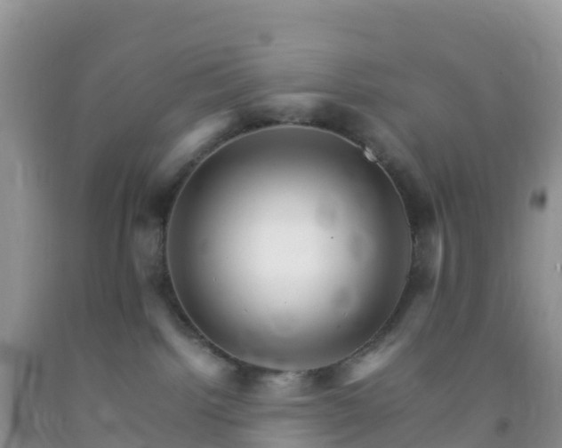 X0000092070092200709191213
