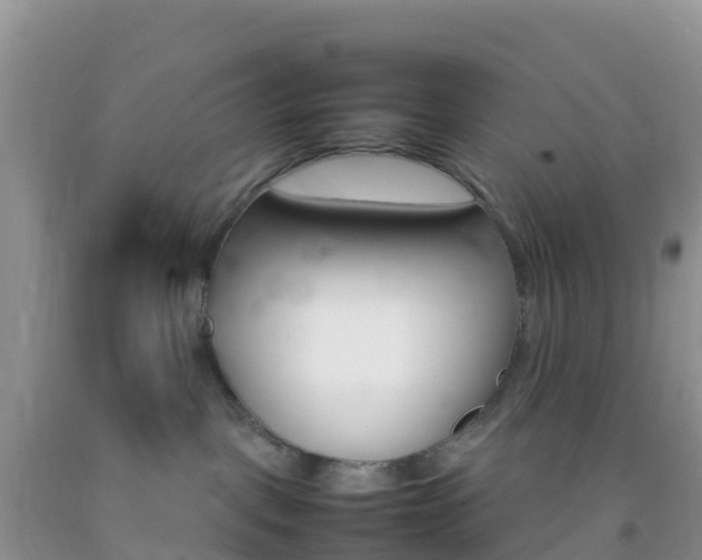 X0000092070093200709191213