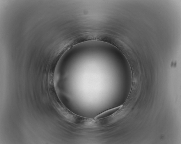 X0000092070096200709191213