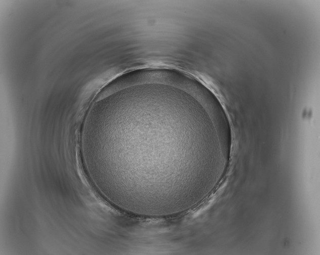 X0000092070097200709191212