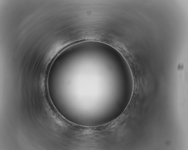 X0000092070098200709191212