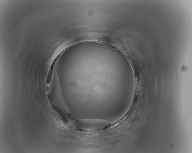 X0000092070099200709191212