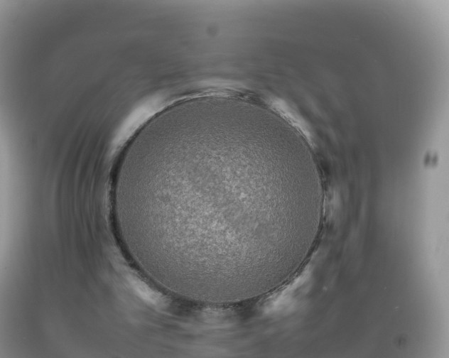 X0000092070101200709191212
