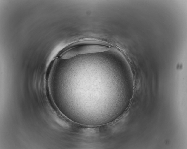 X0000092070102200709191212